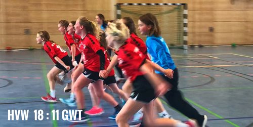 wE-Jugend siegen im Harzderby
