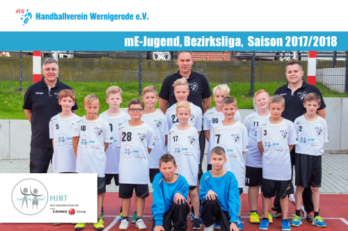 Männliche E-Jugend des HV Wernigerode liefert starken Kampf gegen den Tabellenführer